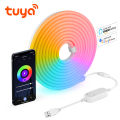Smart USB 5V RGB LED Strip Light WiFi/Bluetooth Neon Tape with Tuya APP Control Voice Control for Alexa  Home Music Sync lightify. 