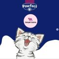Pawfect Adult Cat food |  Pack of 4 | 1.2Kg X 4 | 4 Packs of Pawfect Adult Cat Food For All Breeds of Cats -1.2Kg / Dry Cat Foods | Natural and balanced diet / For every breed / Premium Quality Cat Food. 