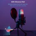 Condenser Professional Microphone Mic For PC Laptop Computer Gaming USB Wired Streaming Podcast Studio Mike Kit Gamer Accessory.