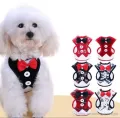 Pet Cats Dog Harness and Leash Set. 