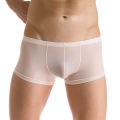 Men's Sexy Sheer U Convex Ice Silk Boxer Men Seamless Ultra-Thin Breathable Boxer Shorts Soft Comfortable Transparent Panties. 