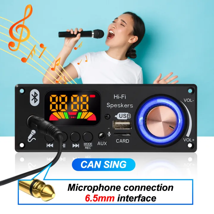 160W%20Amplifier%20Bluetooth%20Decoder%20Board%20DIY%2012V%206.5mm%20Microphone%20FM%20Radio%20TF%20USB%20Car%20Audio%20Music%20Player%20Speakers%20Volume%20Control%20-%20Image%202