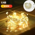 5M/10M USB Fairy Light New Year LED Christmas Light Waterproof Copper Wire String Light for Wedding Garland Party Curtain Light. 