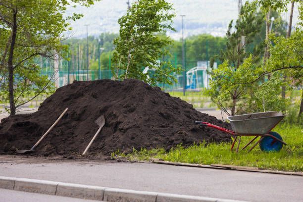 Readymix%20soil%20for%20garden/%20premium%20quality%20-%20Image%207