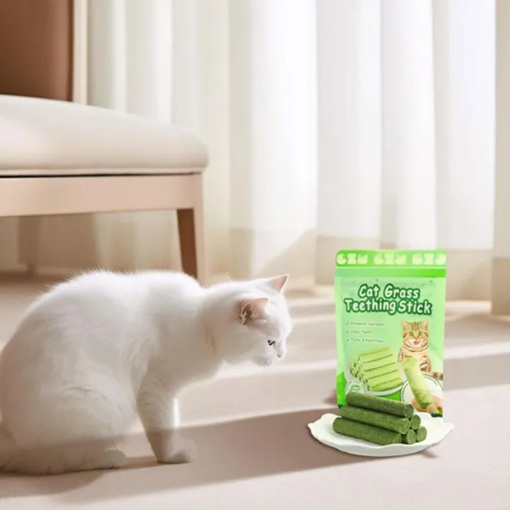 Natural%20Cat%20Grass%20Teeth%20Cleaning%20Stick%20With%20Catnip%20Pet%20Toy%20For%20Dental%20Health%20And%20Molar%20Cleaning%20-%20Image%203