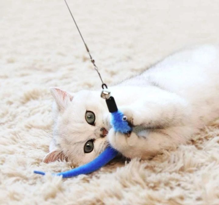 11pcs%20Replacement%20Cat%20Feather%20Toy%20Set%20Feather%20Replacement%20Head%20Retractable%20Cat%20Stick%20Cat%20Products%20-%20Image%205