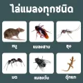 Snake repellent herb that repels all insects YEGBONG Sulfur Snake Repellent Upgrade formula, the smell that snakes are afraid of. snake repellent sulfur powder Imported from America, 10 packs, snake repellent powder, snake repellent, no snakes left in a h. 