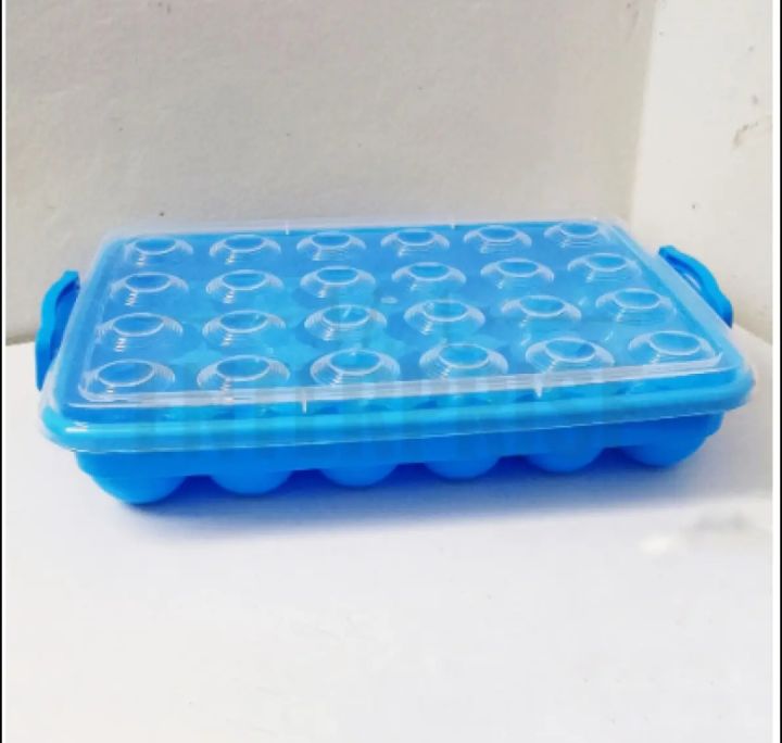 Plastic%2024%20Pieces%20Egg%20Tray%20-%20Safely%20Store%20And%20Transport%20Your%20Eggs%20With%20This%20Durable%20Tray%20-%20Image%204