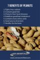 Sugar Free Peanut Butter (Pure & Crunchy/ Chunky) (Homemade). 