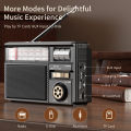 Retro All-Band Radio with Wireless Audio Connectivity, Solar & Multi-Mode Charging, Long-Lasting Battery & Multiple Play Modes.