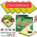 Pack of 5 Mouse Killer Glue & Rat Killer Glue Rat Trap Adhesive Sticky Glue Pad Catch Mouse & Rat Glue Board (Homeducts). 