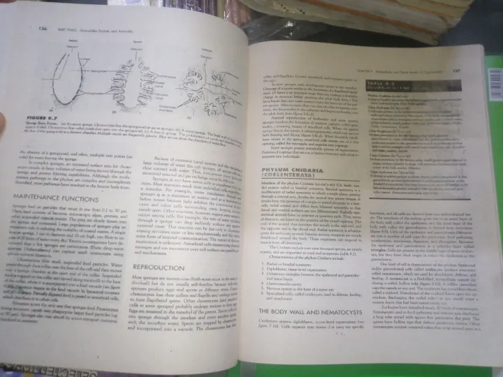 Zoology%20By%20Stephen%20A.%20Miller%20&%20John%20p.%20Harley%205th%20edition%20-%20Image%204