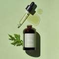 Graymelin Mugwort Pure Serum 50ml. 