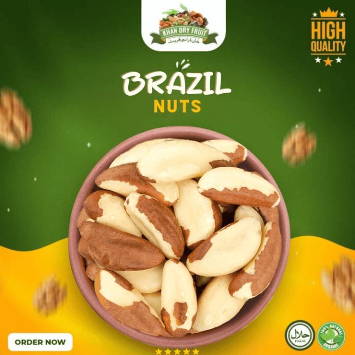Brazil Nuts With Shell premium Quality 250gm Pack