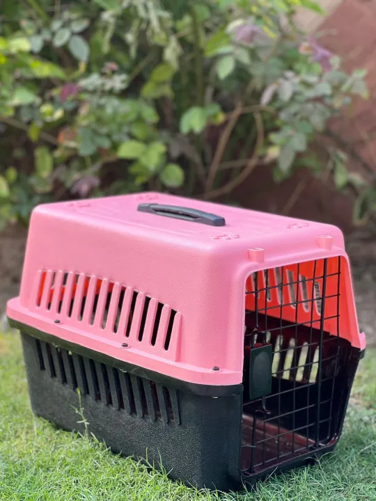 Traveling%20Jet%20Box%20for%20Pets%20-%20Image%202
