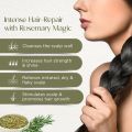 Organic Rosemary Leaves 30 grams | Best for Hair Growth - Nashpati Organics. 