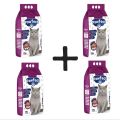Pawfect Adult Cat food |  Pack of 4 | 1.2Kg X 4 | 4 Packs of Pawfect Adult Cat Food For All Breeds of Cats -1.2Kg / Dry Cat Foods | Natural and balanced diet / For every breed / Premium Quality Cat Food. 