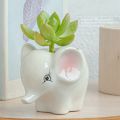 Cute Ceramic Animal Flower Pot Cartoon Zebra Sheep Cow Head Mini Pot Succulents Plants Bonsai Pots Home Garden Decoration. 