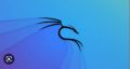 Kali Linux ISO File. 