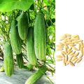 Cucumber 60 seed,  ( cucumber - perennial 50 seed). 