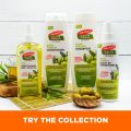 Palmer's Olive Oil Formula Shine therapy Shampoo 400ml Sulphate free. 