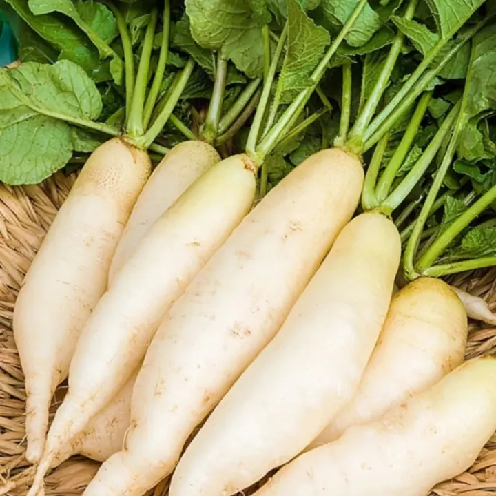 vegetables%20seeds%20package%20%7C%20hybrid%20seeds%20%7C%20%E0%B6%91%E0%B6%BD%E0%B7%80%E0%B7%85%E0%B7%94%20%E0%B6%B6%E0%B7%93%E0%B6%A2%20%7C%20%E0%B6%9C%E0%B7%99%E0%B7%80%E0%B6%AD%E0%B7%94%20%E0%B6%B6%E0%B7%93%E0%B6%A2%20-%20Image%204