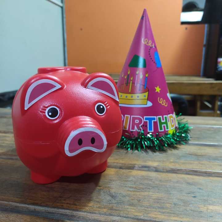 Piggy%20Bank%20/%20Khutruke%20-%20Image%202