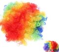 Adult Multi Coloured Rainbow Circus Curly Afro Clown Wig Halloween Fancy Dress. 