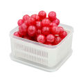1,100 mL plastic food storage box with strainer. Keyway brand model T-0914. 