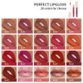 Imagic Perfect Matte Lip Gloss Shade #L08 Rose. 