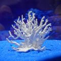 Coralline Artificial Fish Tank Decorations Aquarium Artificial PVC Plants Coral Ornaments Aquarium Landscape Aquarium. 