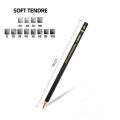 Professional Drawing Sketching Pencil Set, 12 Pieces Art Pencils Graphite Shading Pencils for Beginners & Pro Artists. 