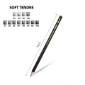 Professional Drawing Sketching Pencil Set, 12 Pieces Art Pencils Graphite Shading Pencils for Beginners & Pro Artists. 