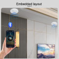 2 Inch mini home audio audience Bluetooth Ceiling Speaker Stereo sound Indoor music speakers Built In Digital Class D Amplifier. 