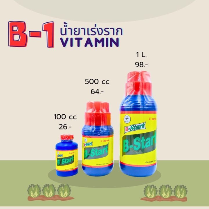 Vitamin B1 root booster B-start 100 cc 500 cc 1 liter T-REX