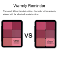 12-Color Iron Box Concealer Blush Cream Matte Highlight Contour Makeup All-in-One Palette. 