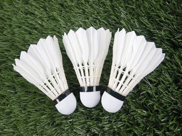 Badminton%20Balls%20Foam%20Badminton%20Shuttle%20Ball%20Game%20Indoor%20Sports%20Outdoor%20Activities%20-%20Image%204