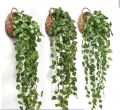 Artificial Money Plant green bail, with pretty blooms and amazingly life-like foliage bursting out of the basket or wall, this artificial English Ivy Vine Hanging Plant is not to be missed, lets you feel yourself in nature and save your room space

Artifi. 