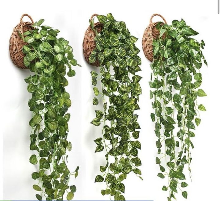 Artificial Money Plant green bail, with pretty blooms and amazingly life-like foliage bursting out of the basket or wall, this artificial English Ivy Vine Hanging Plant is not to be missed, lets you feel yourself in nature and save your room space

Artifi