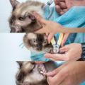 Cat Bathing Bag Mesh Adjustable Washing Bag Cat Grooming Multipurpose Nail Clipping Injecting Antiscratch Bite Restraint.