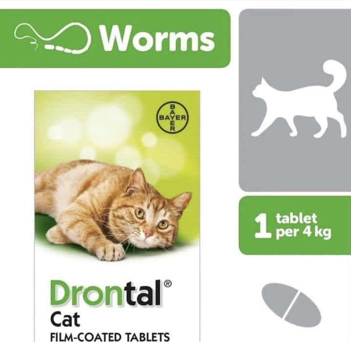Drontal Deworming Tablet For Cats- 1Tablet