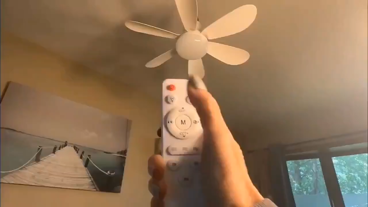 【Fast Delivery 1-4 day】Remote Fan Light, Dimmable LED Ceiling Fan, Quiet, 3-Speed Timer, E27 Screw Base