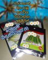 vegetables seeds package | hybrid seeds | එලවළු බීජ | ගෙවතු බීජ. 