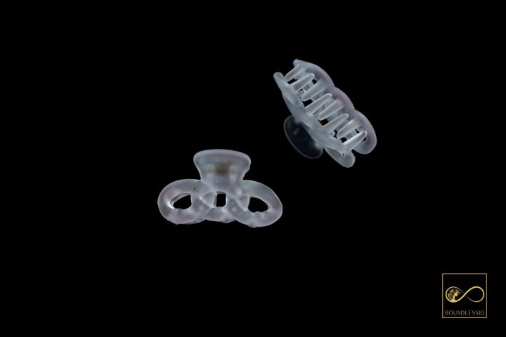 (2%20piece)%20Mini%20hair%20claw%20clip%20from%20BOUNDLESSIO%20-%20Image%205
