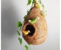 One Hanging Bird Nest with two birds & plant for home and garden decor. Babui Pakhir Bas....