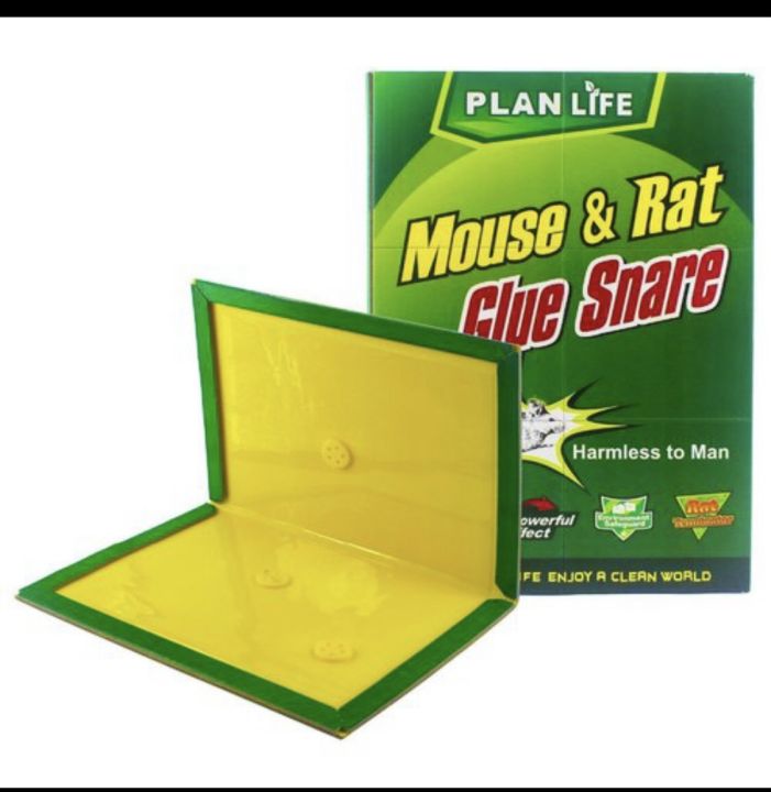 Mouse%20board%20sticky%20Glue%20Trap%20Board,%20Sticky,%20Non-Toxic%20Rodent%20Killer%20Pad,%201pc%20big%20size%20-%20Image%204
