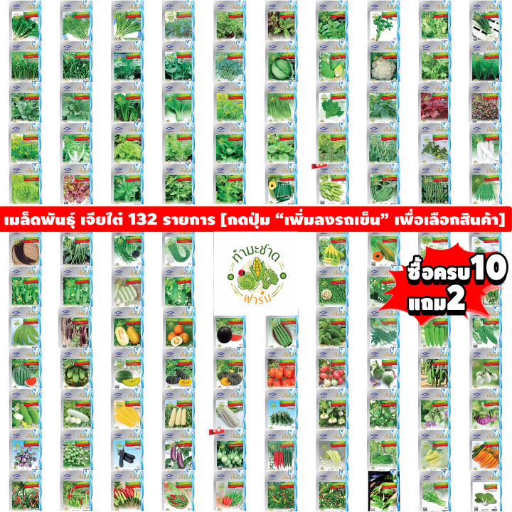 Chia%20Tai%20(buy%2010%20get%202)%2010g%20yard%20long%20bean%20seeds,%20yard%20long%20bean%20seeds,%20yard%20long%20bean%20seeds,%20vegetable%20seeds,%20garden%20vegetables%20-%20Image%209