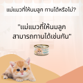 Choochoo baby cat Choo Choo Baby Formula 80g. Choo Choo (for 1 - 3 months old cat). 