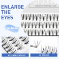 DIY Lashes Two Boxes 10P 20P Mix Heat Bonded A/M Shape Spikes Cluster Eyelash Extension 3D False Individual Makeup Premade Fan. 