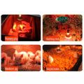 Infrared Heat Lamp Poultry Brooder Chicks Or Birds farming Waterproof Hatching Puppies  Piglet Bulb for Chicken. 
